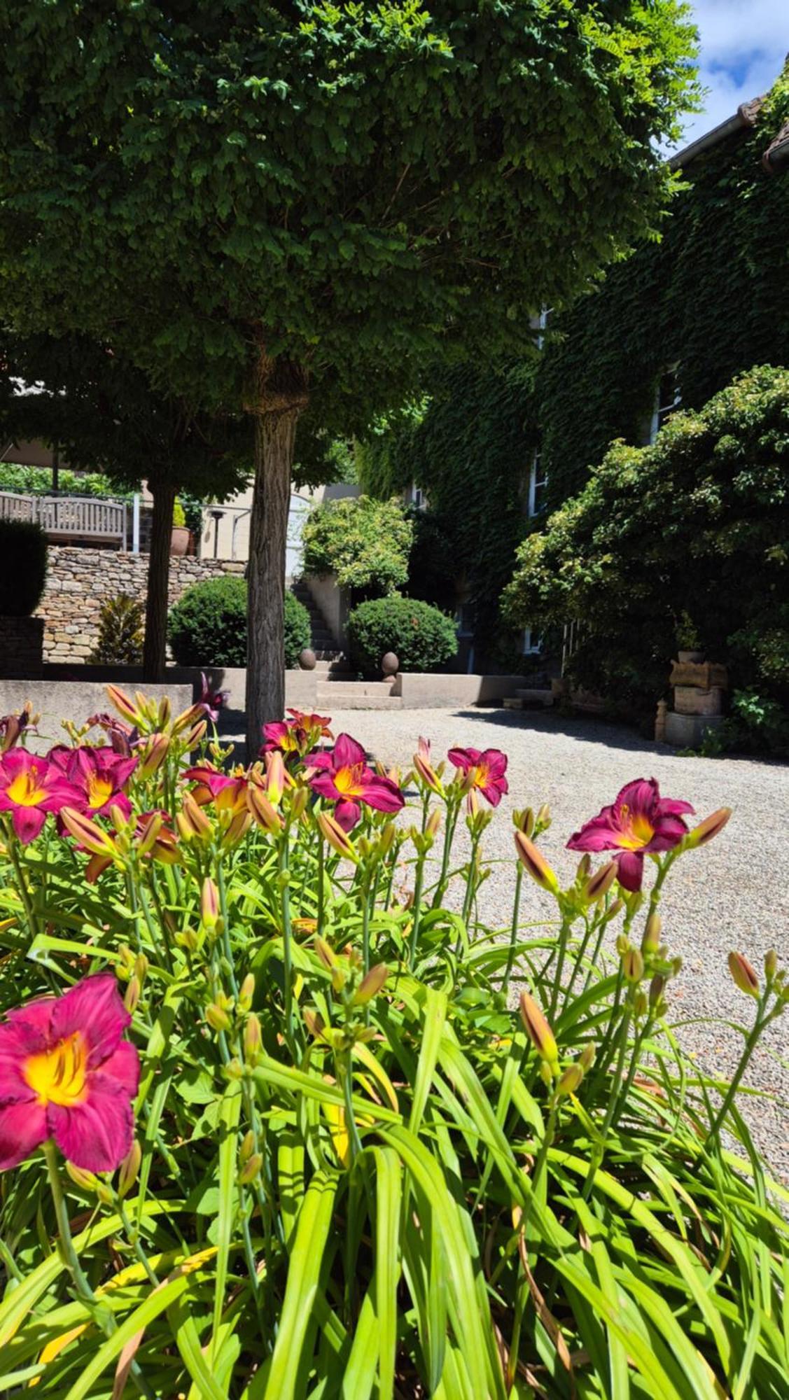 L'Annexe Du Moulin Renaudiots Leilighet Autun Eksteriør bilde